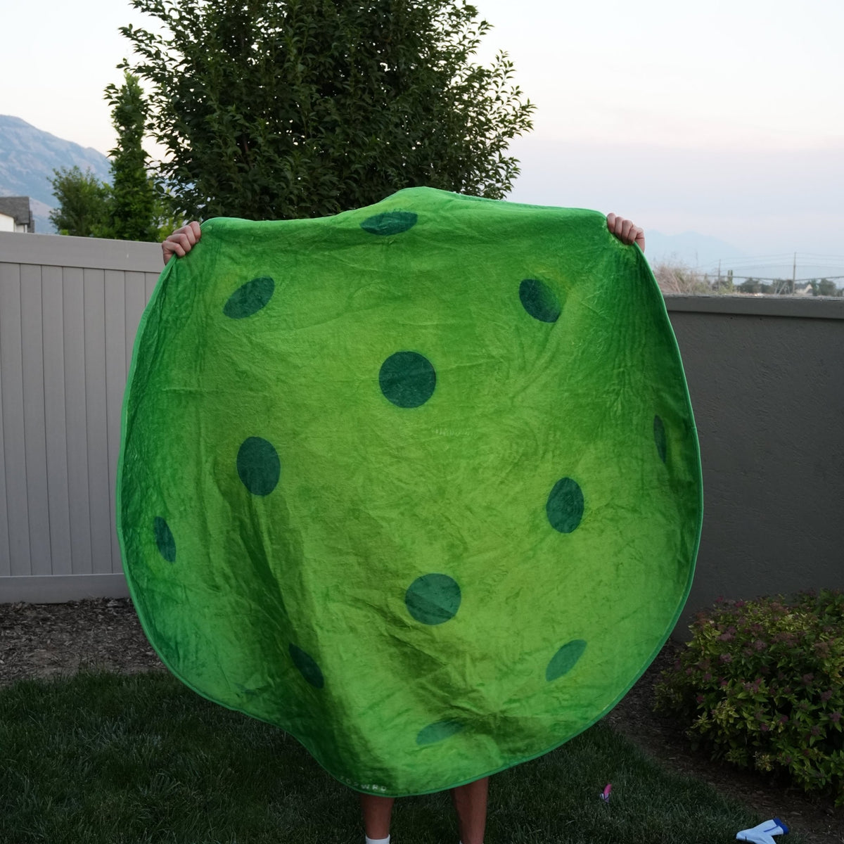 The Original Pickleball Blanket - FORWRD