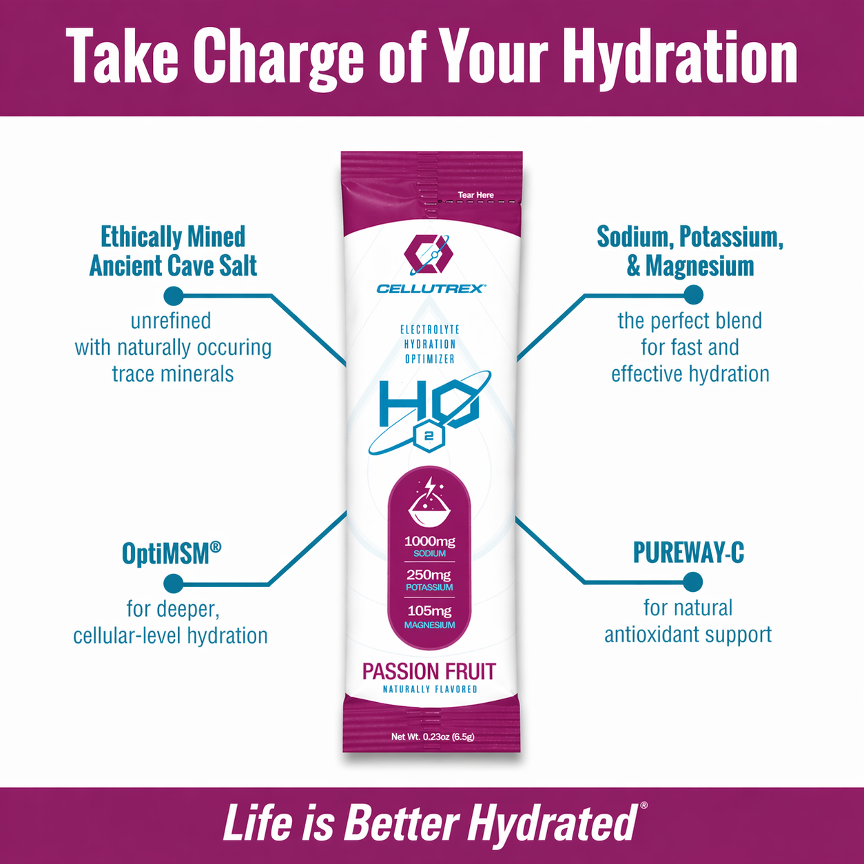 H2O ELECTROLYTES Passion Fruit zero sugar electrolyte powder