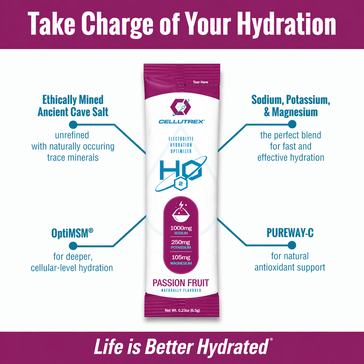 H2O ELECTROLYTES™ - Passion Fruit | Zero Sugar Electrolyte Powder - FORWRD