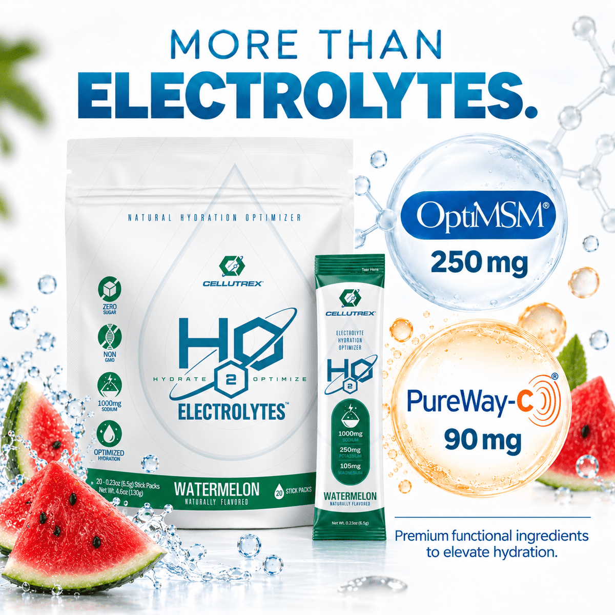 H2O ELECTROLYTES™ - Watermelon | Zero Sugar Electrolyte Powder - FORWRD
