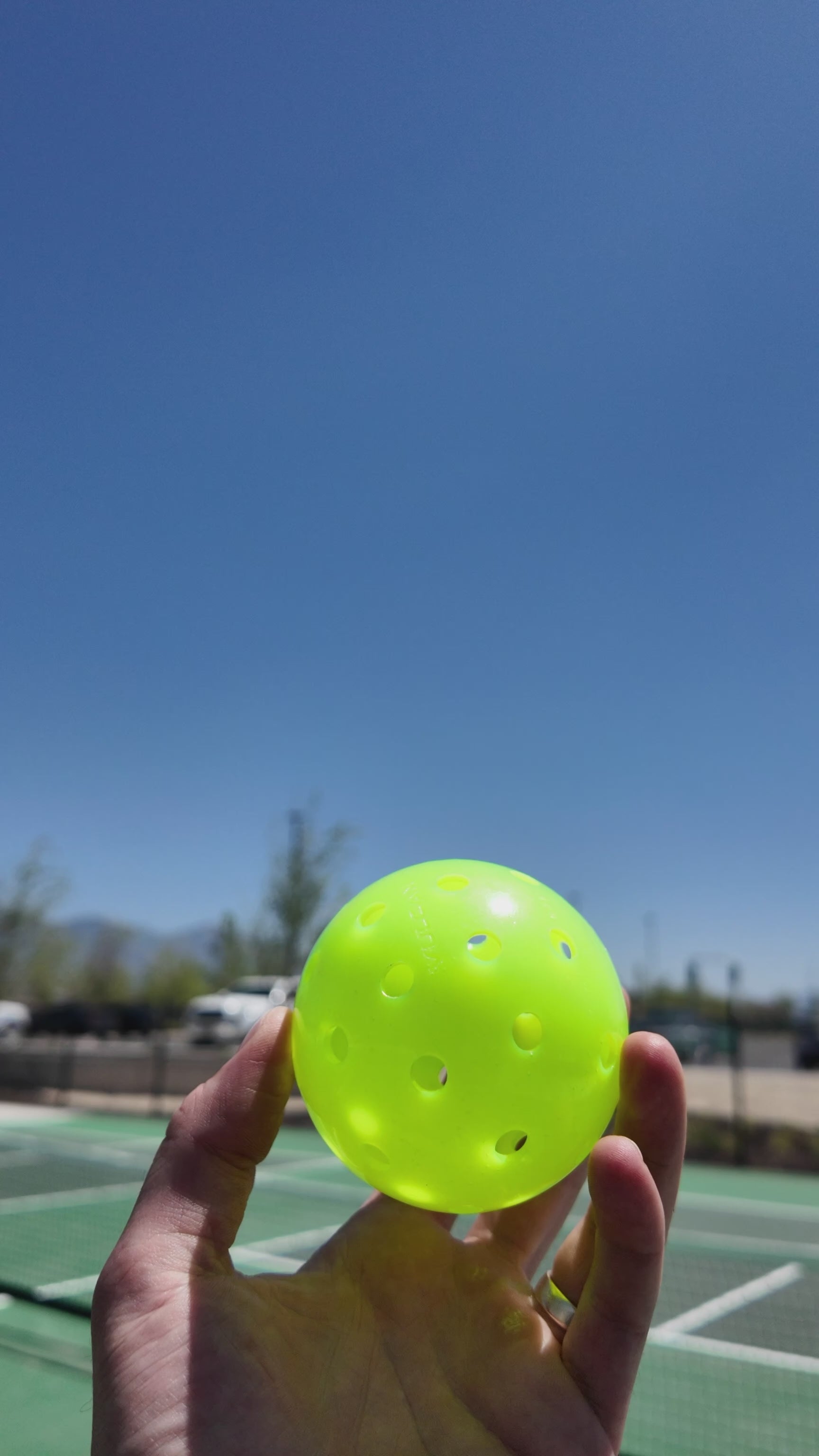 The Original Pickleball Blanket